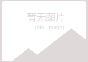 山西夏槐化学有限公司